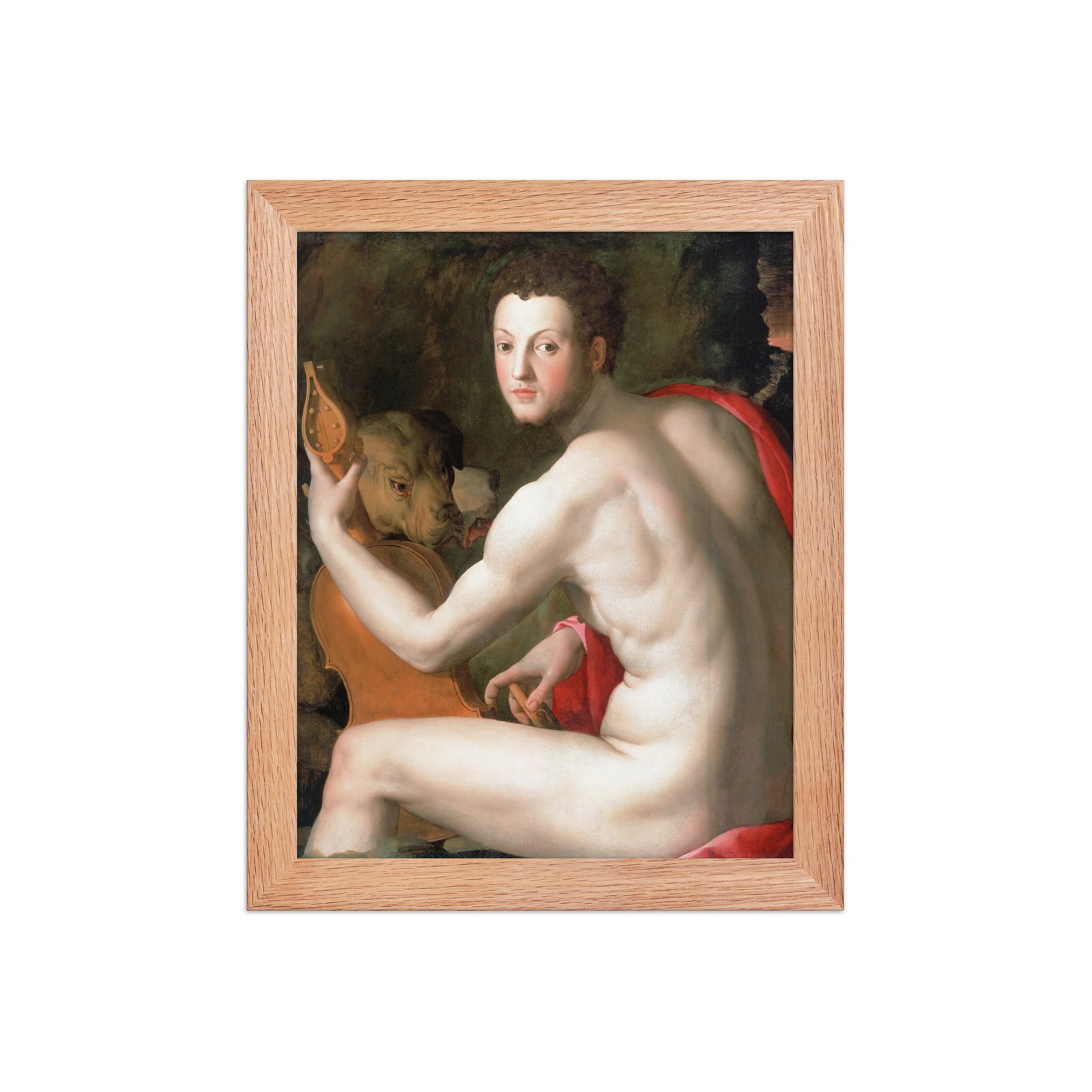 Portrait of Cosimo I de’ Medici as Orpheus Framed Poster