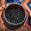 Acai Berries And Why You Should Be Eating Them