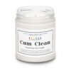 soy based scented candles