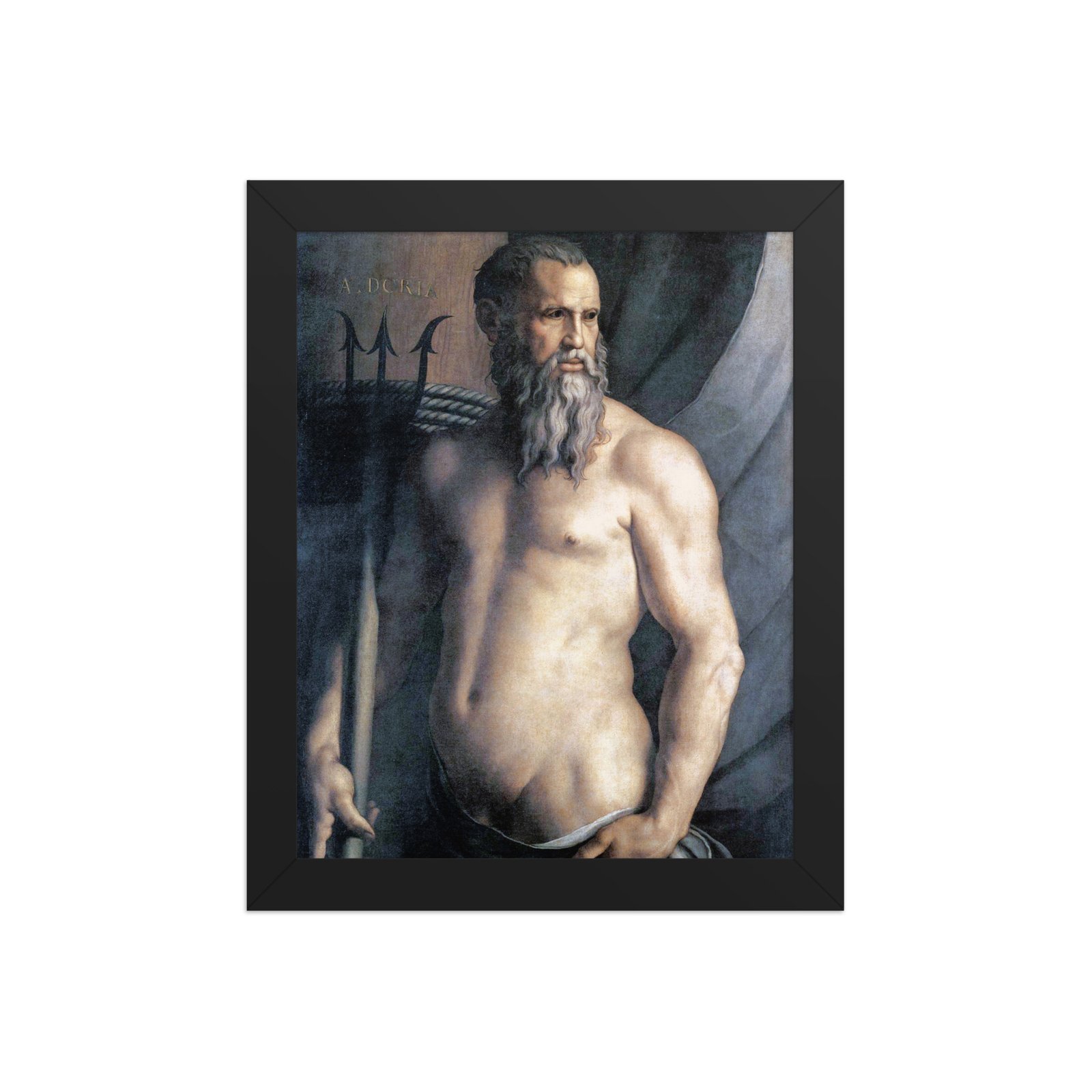 Portrait of Andrea Doria as Neptune Fine Art Framed Poster